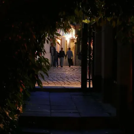 Sunflower דירה *