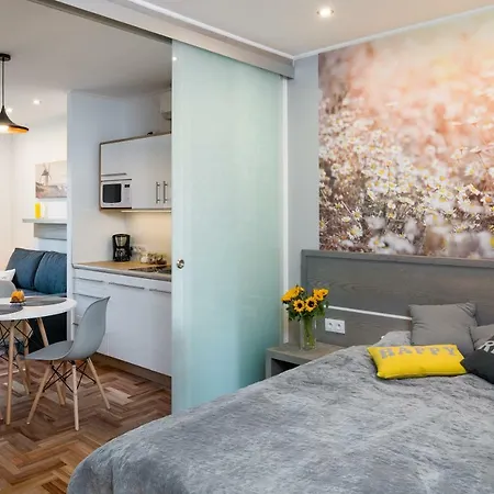 Sunflower קרקוב