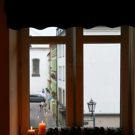 Sunflower * Cracovia