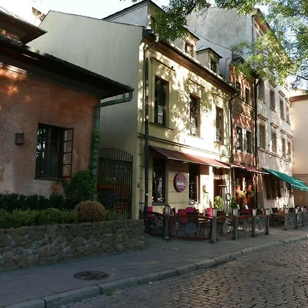 Sunflower * Cracovia